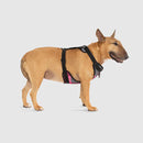 Canada Pooch The Water-Resistant Everything Harness Pink Plaid