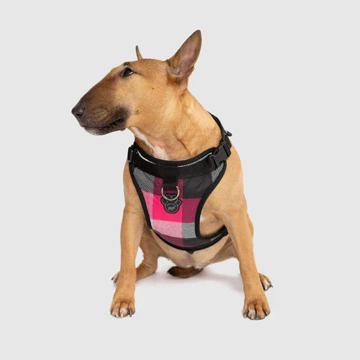Canada Pooch The Water-Resistant Everything Harness Pink Plaid
