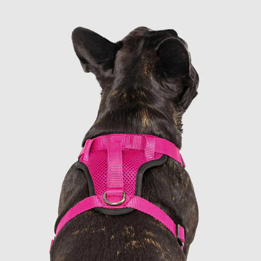 Canada Pooch The Everything Harness Plum