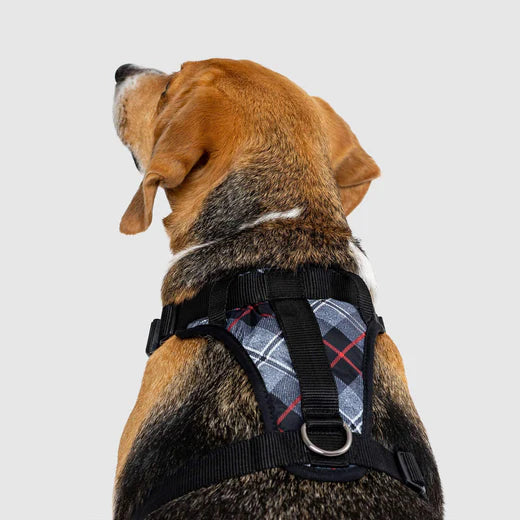 Canada Pooch The Water-Resistant Everything Harness Plaid