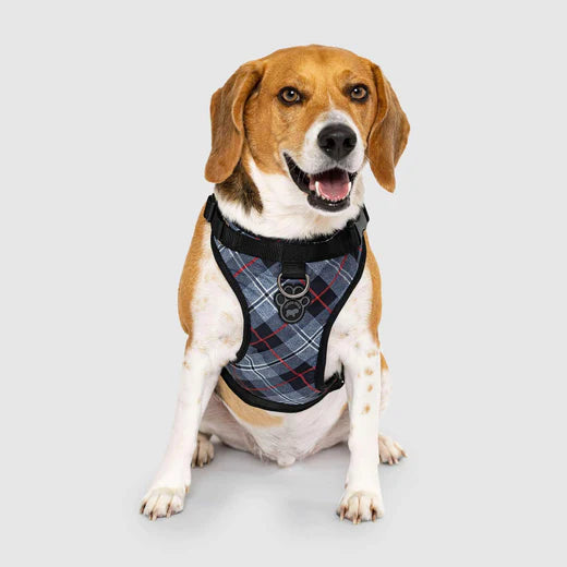 Canada Pooch The Water-Resistant Everything Harness Plaid