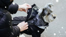 Canada Pooch One-Piece Snowsuit Black