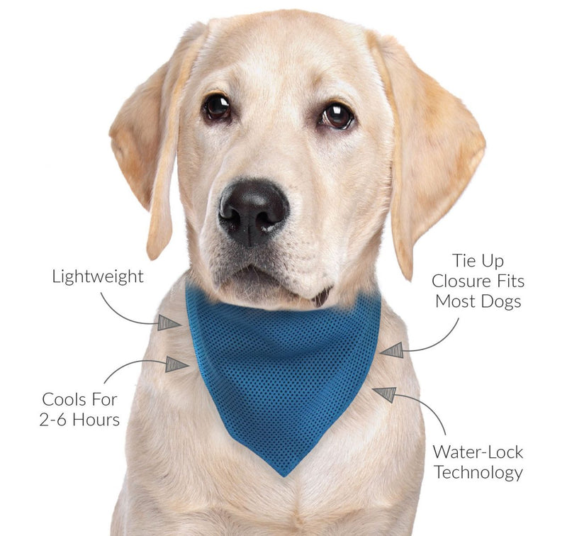 Cooling Bandanas for Dogs