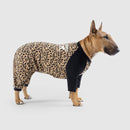Canada Pooch Frosty Fleece Sweatsuit Leopard