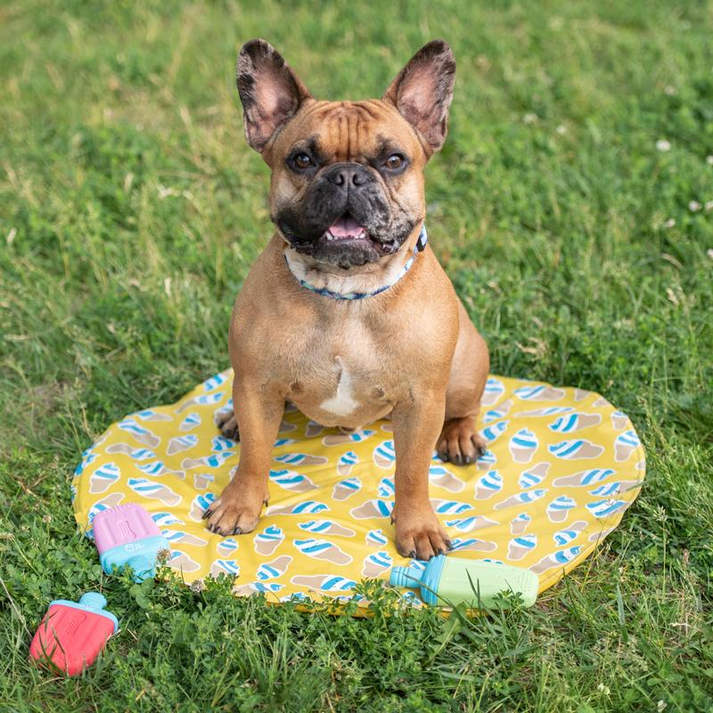 Pet Ice Mat