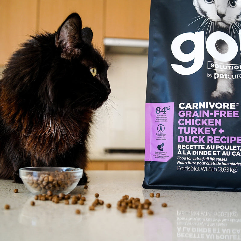 GO! Carnivore Grain-Free Chicken, Turkey & Duck Cat Food