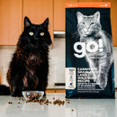 GO! Carnivore Grain-Free Lamb & Boar Cat Food