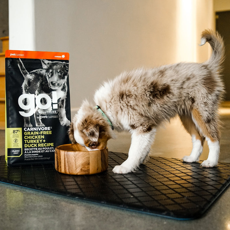GO! Carnivore Grain-Free Chicken, Turkey & Duck