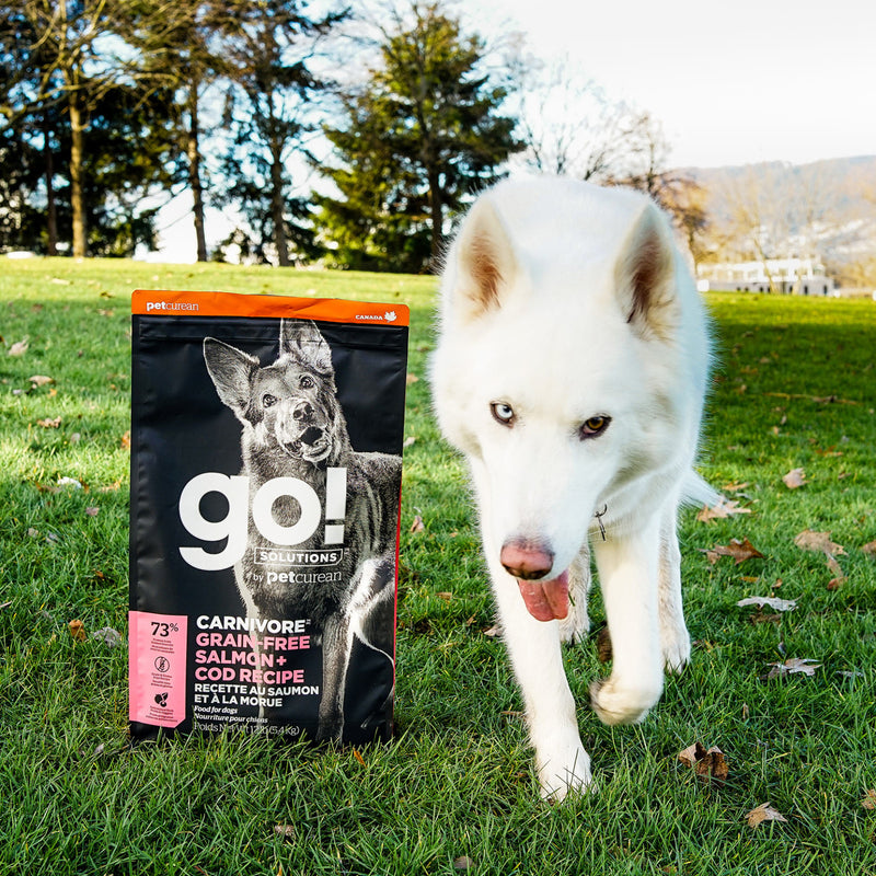GO! Carnivore Grain-Free Salmon & Cod