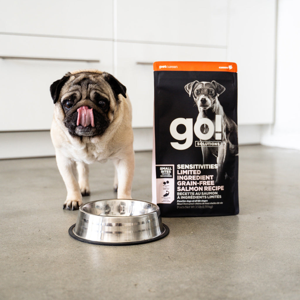 Go salmon hot sale dog food ingredients