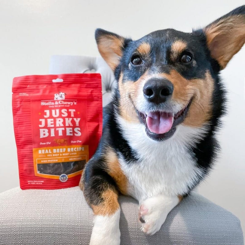 Stella & Chewy's Just Jerky Bites Beef