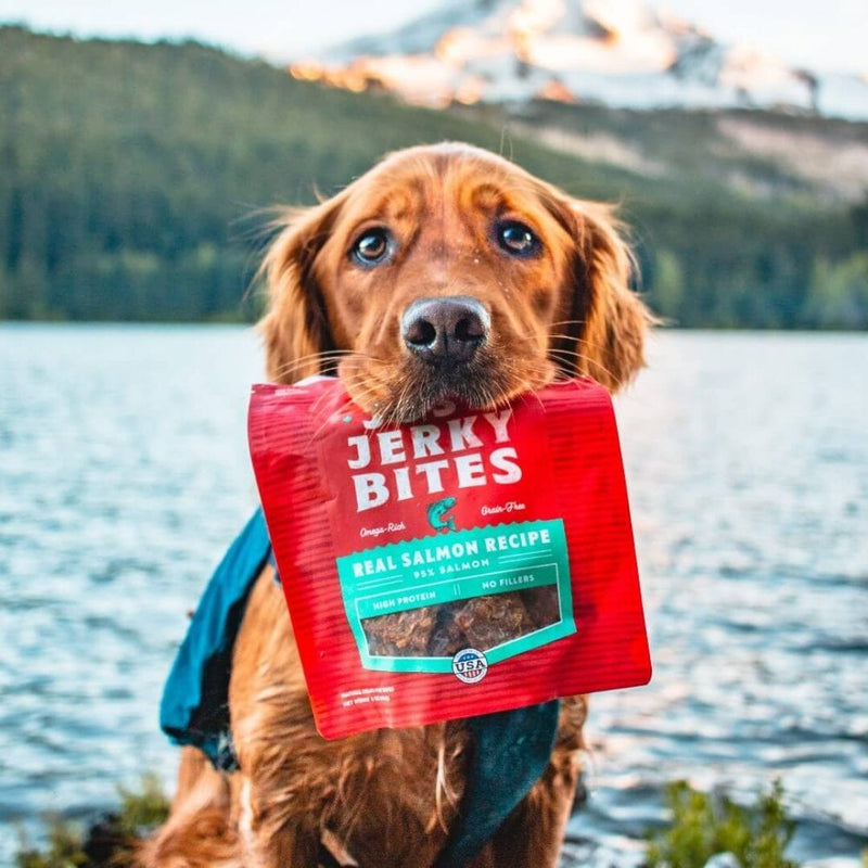 Stella & Chewy's Just Jerky Bites Salmon