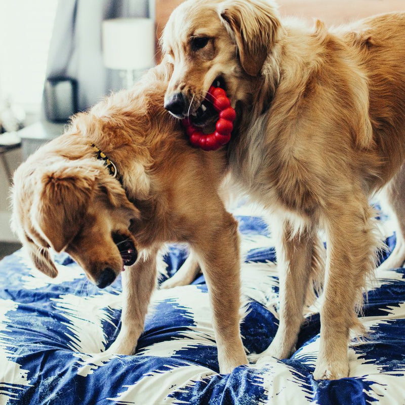 Kong Ring Dog Toys