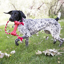 Kong Rope Goodie Bone Dog Toys