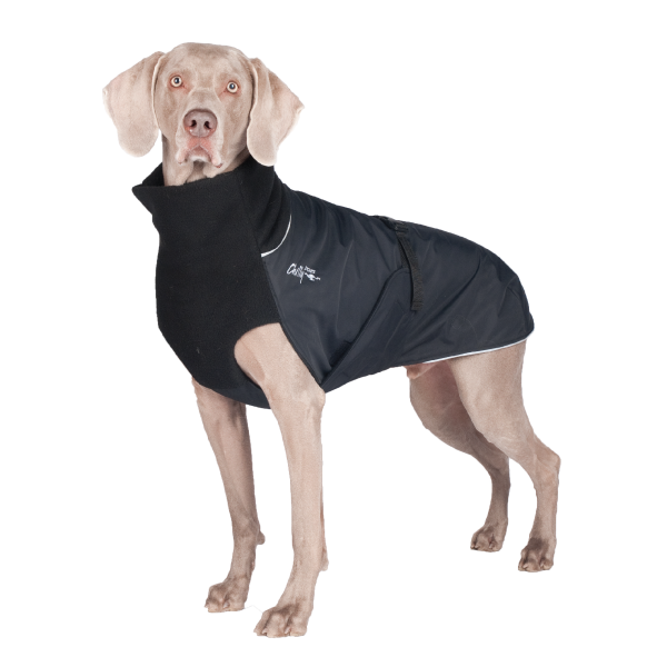 Chilly Dogs - Great White North Winter Coat Black/Black Shell