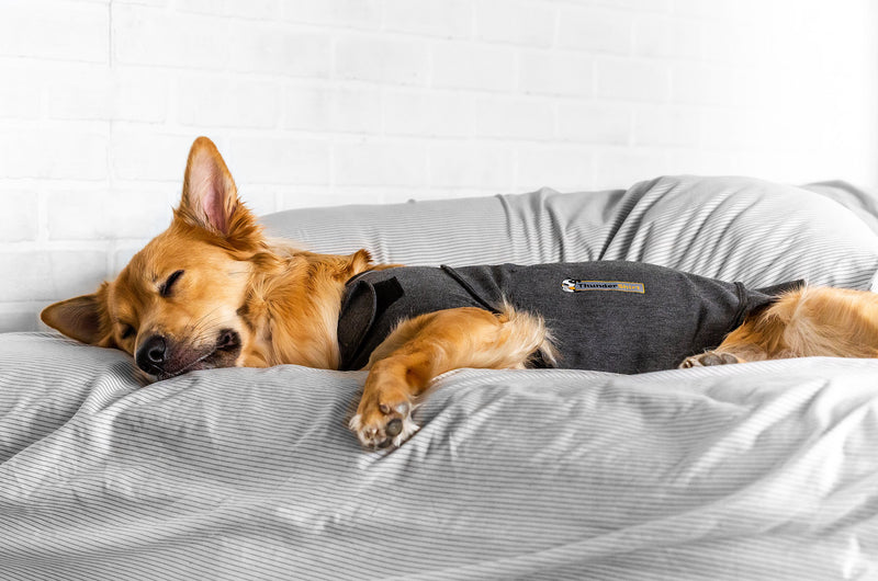 Thundershirt Calming Aid