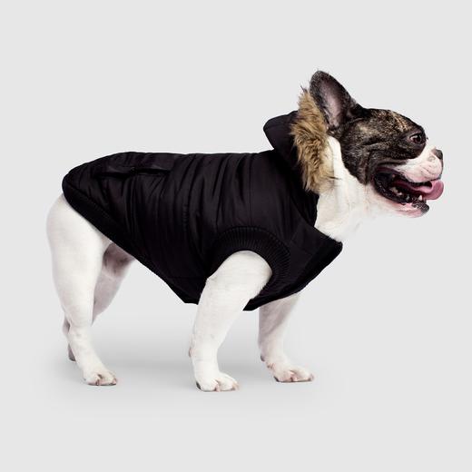 Canada Pooch North Pole Parka Black