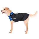 Chilly Dogs - Alpine Blazer Royal Blue/Black Shell