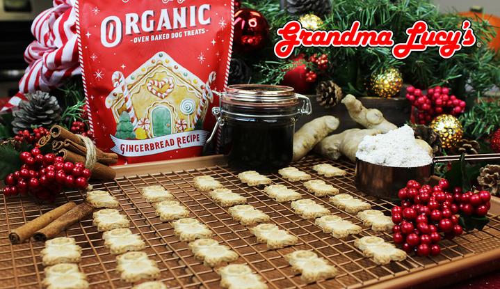 Grandma Lucy's Organic Gingerbread Recipe