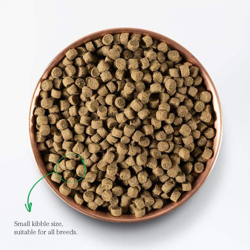 Open Farm Beef Ancient Grains Dog Food