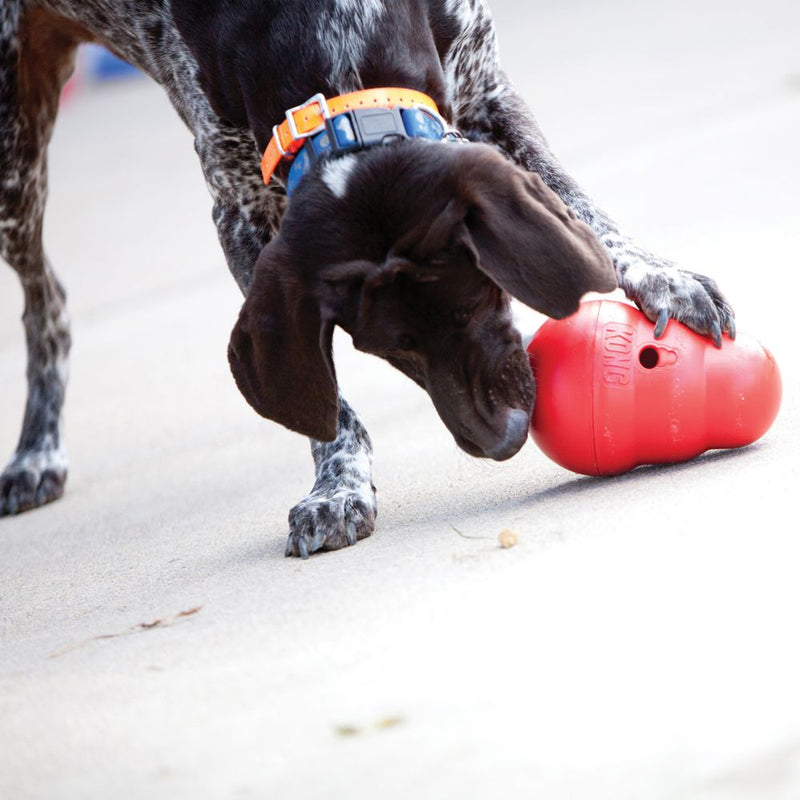 Kong Wobbler Dog Toy Food Dispenser