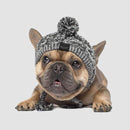 Canada Pooch Polar Pom Pom Hat Grey