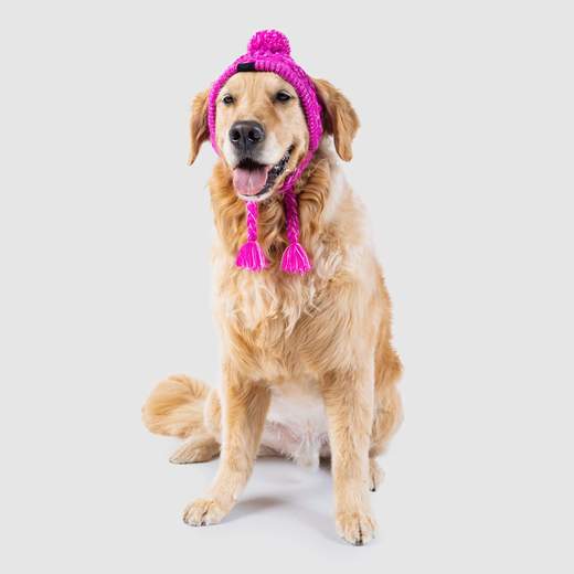 Canada Pooch Polar Pom Pom Hat Pink