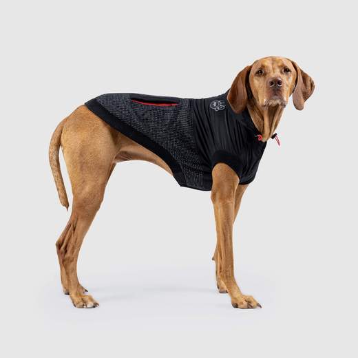 Canada Pooch Reflective Hybrid Jacket Black