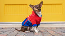 Canada Pooch 360 Jacket Red Blue