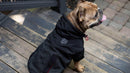 Canada Pooch Reflective Hybrid Jacket Black
