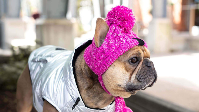 Canada Pooch Polar Pom Pom Hat Pink