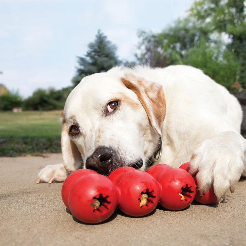 Kong Goodie Ribbon Dog Toys