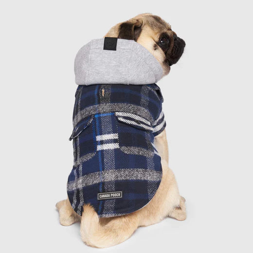 Canada Pooch The Shacket Blue Plaid