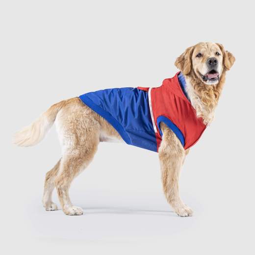 Canada Pooch 360 Jacket Red Blue