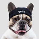 Canada Pooch Basic Beanie Black