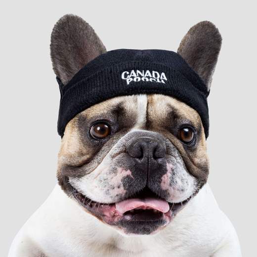 Canada Pooch Basic Beanie Black
