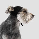 Canada Pooch Basic Beanie Black