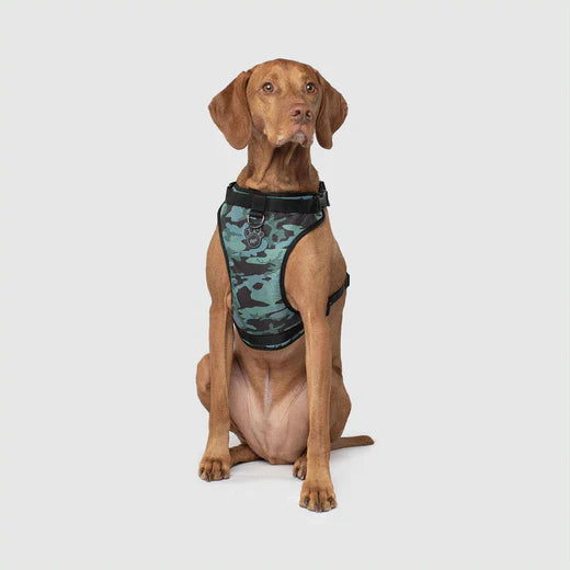 Canada Pooch The Water-Resistant Everything Harness Camo