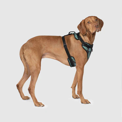 Canada Pooch The Water-Resistant Everything Harness Camo