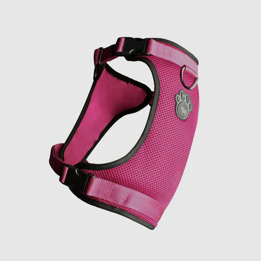 Canada Pooch The Everything Harness Plum