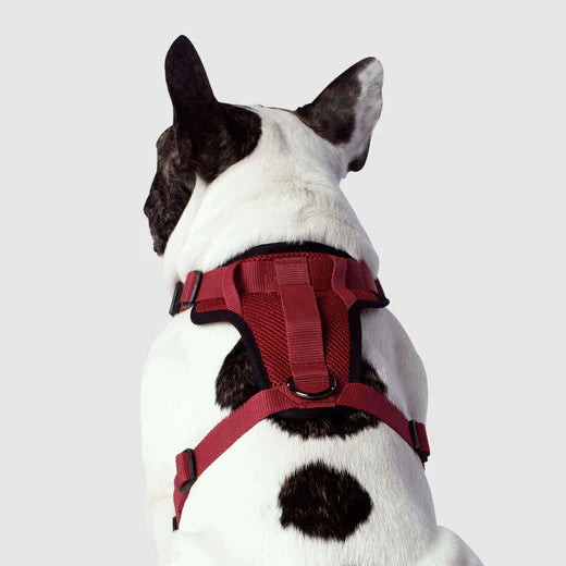 Canada Pooch The Everything Harness Red