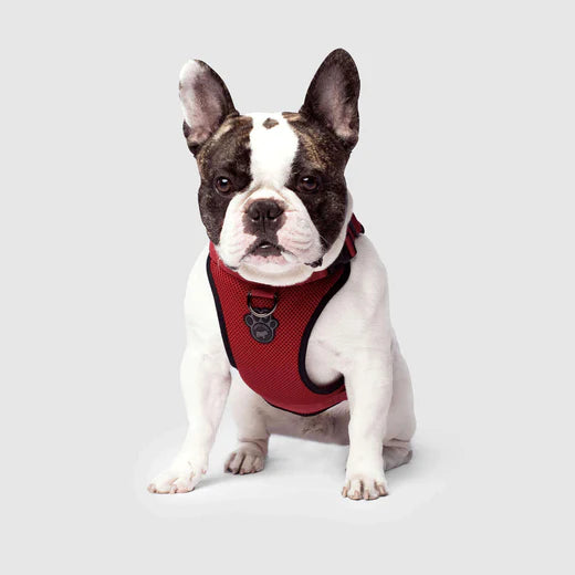 Canada Pooch The Everything Harness Red