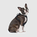Canada Pooch The Water-Resistant Everything Harness Splatter