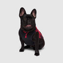 Canada Pooch Thermal Tech Fleece Red Plaid