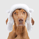 Canada Pooch Arctic Air Aviator Hat