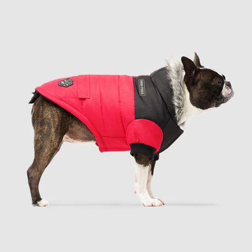 Canada Pooch True North Parka Red