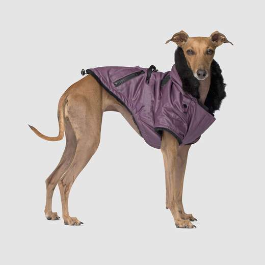 Canada Pooch Urban Wax Parka Purple