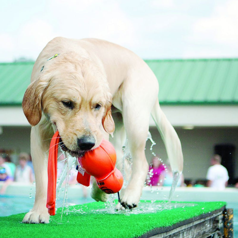 Kong Wubba Wet Dog Toys