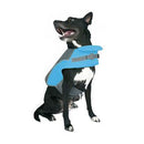 Canada Pooch Wave Rider Life Vest