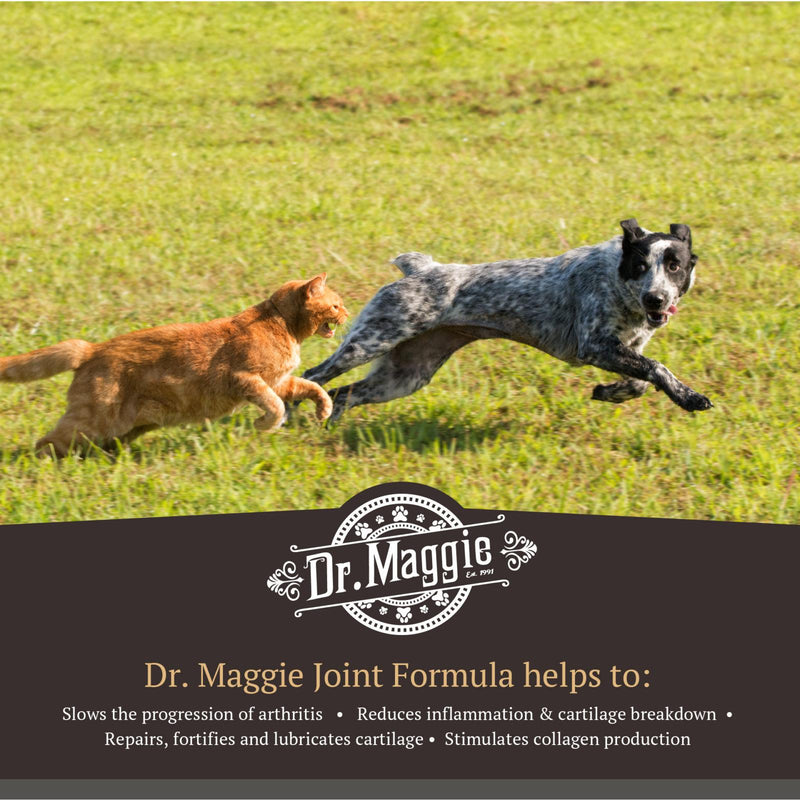 Dr. Maggie Joint Formula For Dogs and Cats